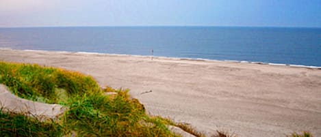 Tæt på stranden