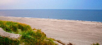 Hyggeligt træhus nær den smukke Ringkøbing Fjord