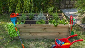 Una jardinera elevada de madera con diversas plantas, un carretillón rojo con herramientas de jardinería y un regador azul.