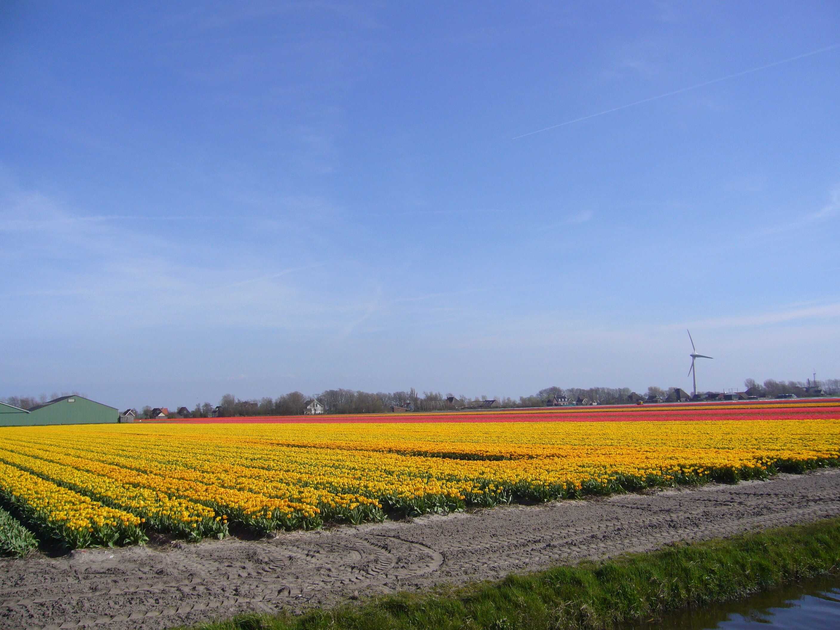 Natur pur