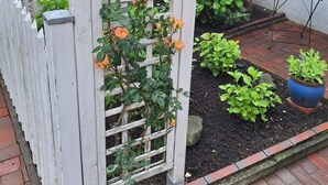 Ein Garten mit weißem Spalier, Kübelpflanzen und einem Holztisch.