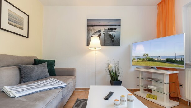 Una sala de estar con un sofá, una mesa de centro con controles remotos y velas, un televisor, un cuadro enmarcado y una planta en maceta.