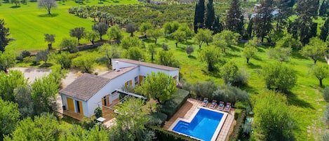 A house with a swimming pool surrounded by lush greenery and trees.