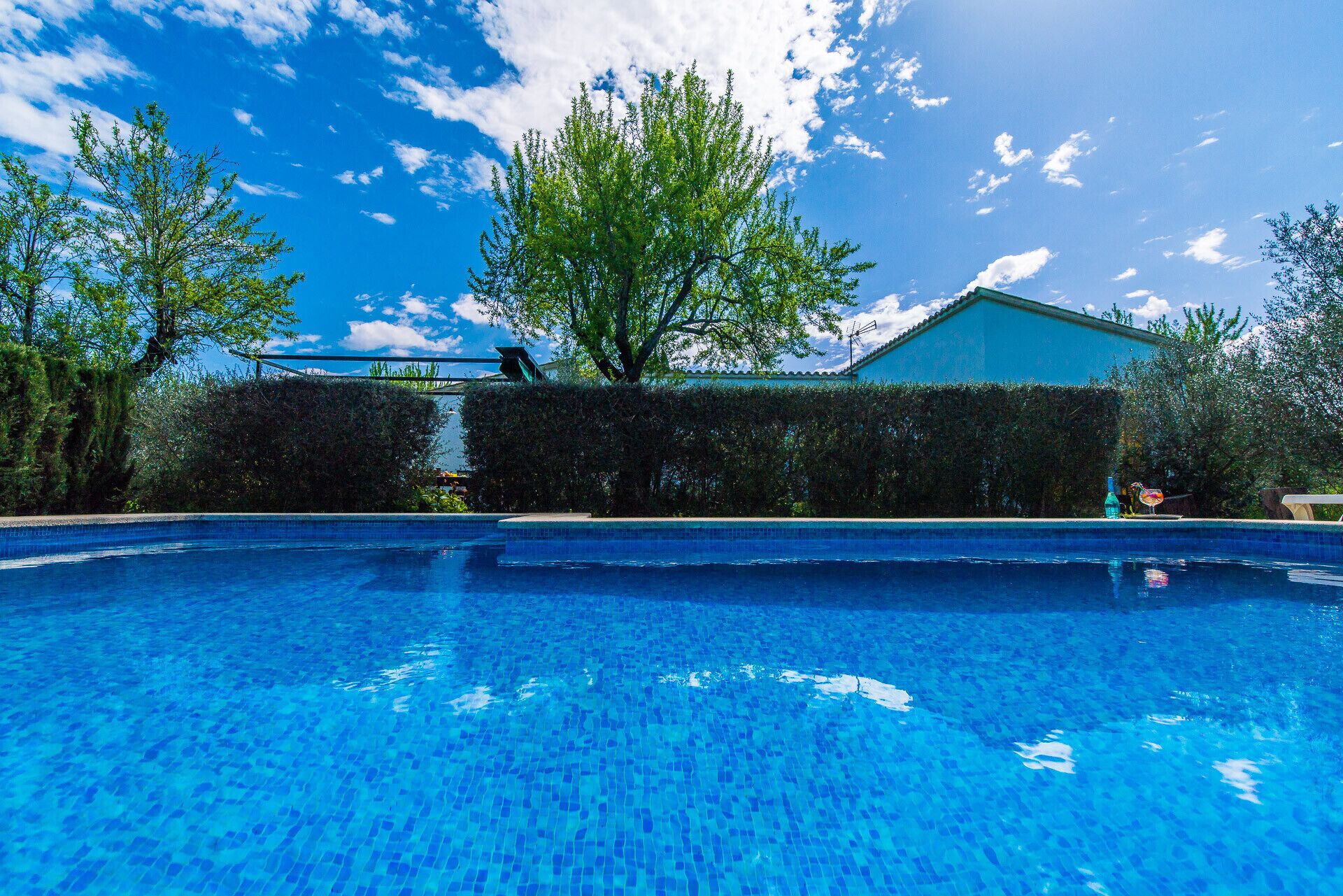 A swimming pool with clear blue water, surrounded by greenery and a building with a blue roof.