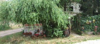 bed and breakfast du Vignot