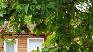 A wooden fence with a house in the background.