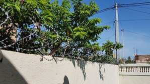 A concrete wall with a shadow, a tree with green leaves, and a utility pole with power lines.