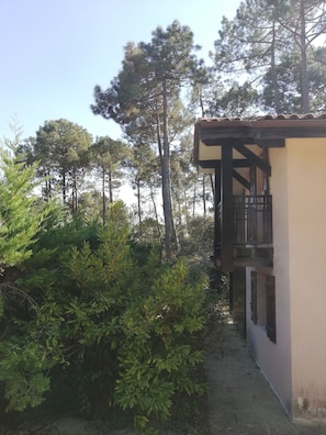 A building with a balcony, surrounded by dense greenery and tall trees. - House with shared pool 30m far, 100 m from the Golf de l'Ardilouse (Lacanau Océan)
