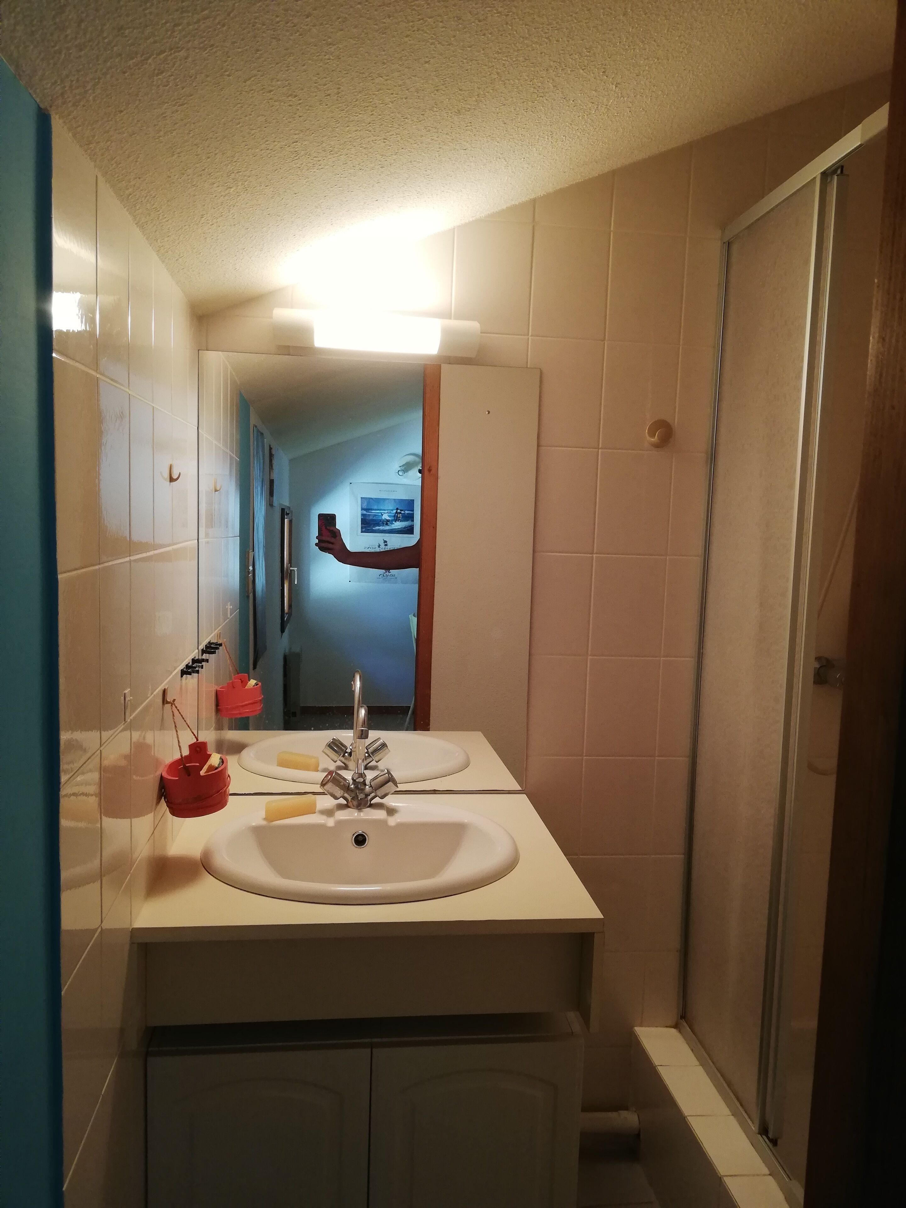 A bathroom with two sinks, a mirror, and a shower.