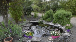 A garden with a pond, surrounded by various plants and flowers.