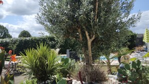 A garden with various plants, a cactus, and a pool area in the background. - SMALL RELAXATION CORNER (Seyresse)