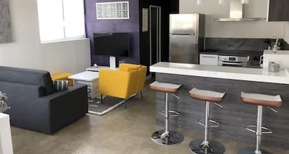 Contemporary apartment