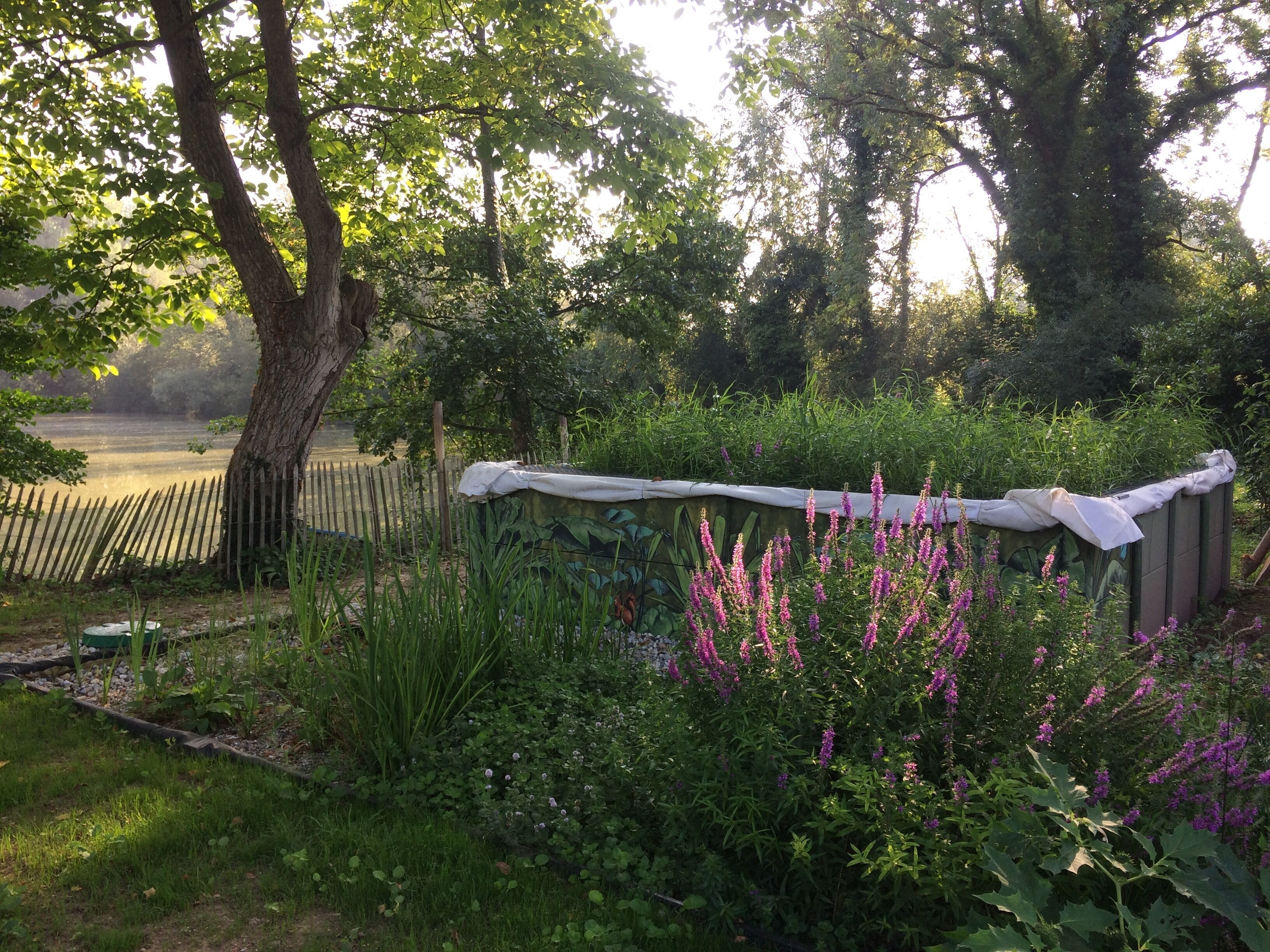 Un jardin avec une clôture en bois, des plantes en fleurs et un arbre.
