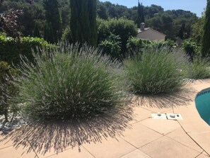 Property grounds - We will welcome you in a typical village in the heart of Provence (Aurons)