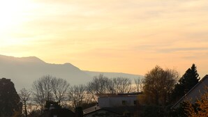 A residential area with houses, trees, and a mountain in the background.