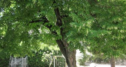 Gîte mas la Mounine (ground floor)