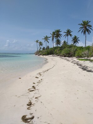 On the beach