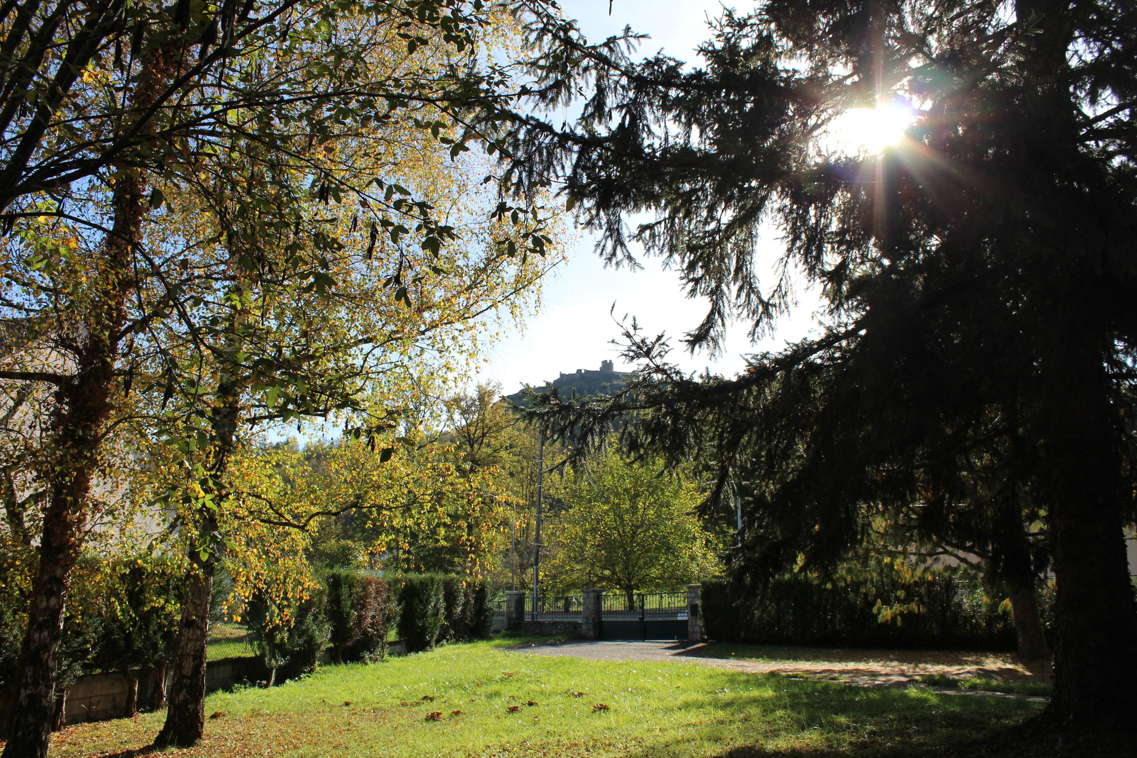 Um parque com árvores, grama e um portão.