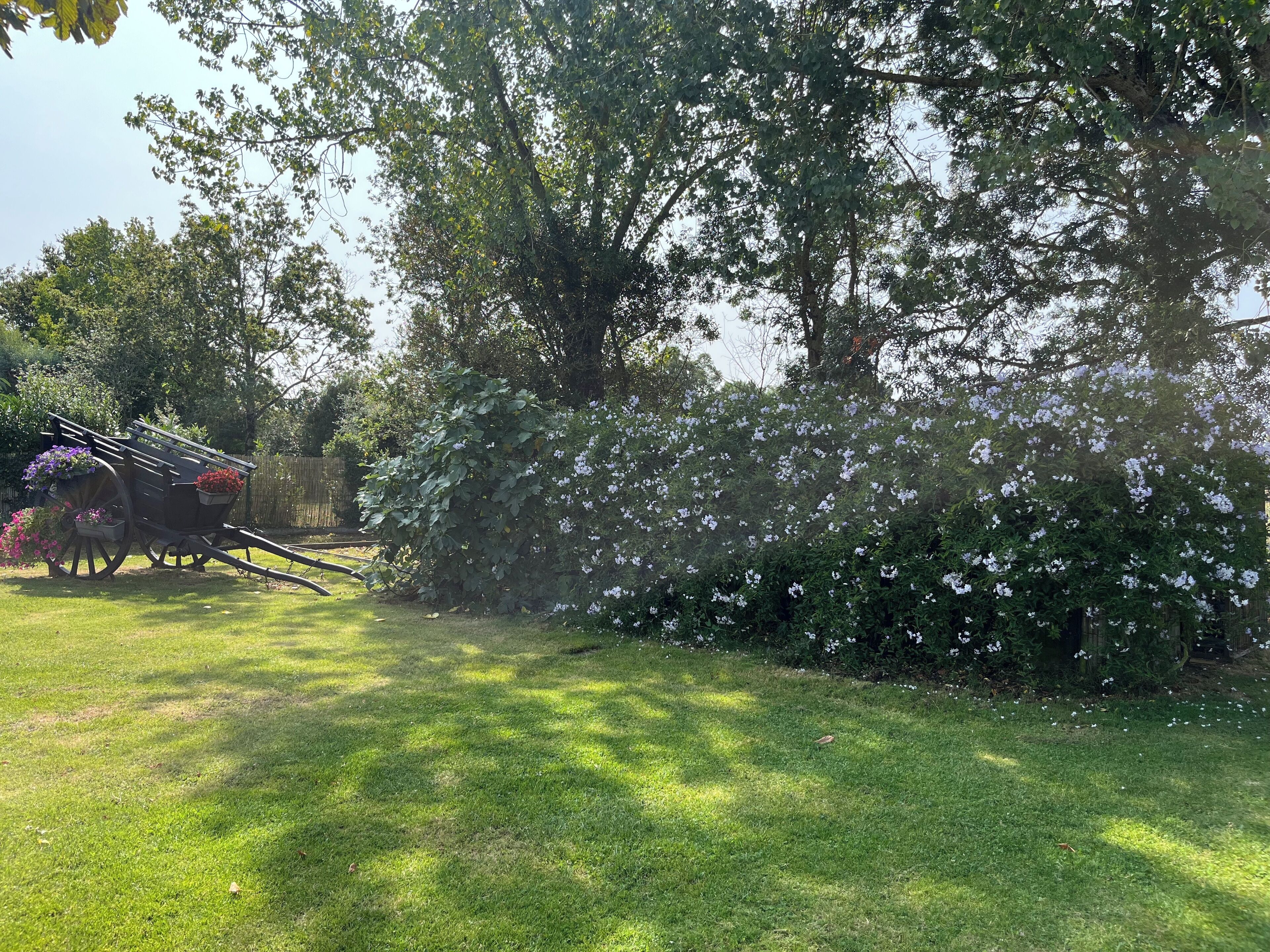 Een tuin met een houten kar vol bloemen, omringd door weelderige begroeiing en bomen.