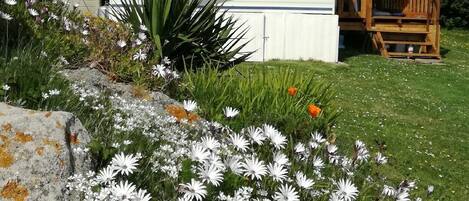 المنطقة المحيطة بالمنشأة