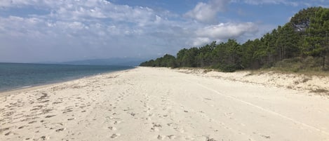 Plage à proximité, chaises longues