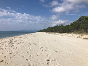 A wide sandy beach with footprints, a clear sky, and a forested area in the background. - Mare è Monte 4,5 km from the sea. Ideal for touring Corsica (Ghisonaccia)