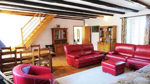 Télévision, cheminée, table de tennis de table, livres