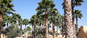 Comfortable family villa with private heated pool for 8 people