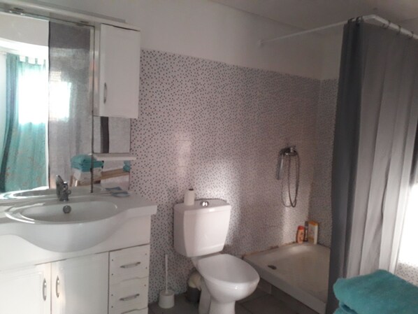 Une salle de bain avec un lavabo, des toilettes et une douche.