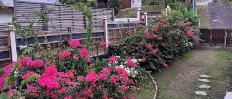 المنطقة المحيطة بالمنشأة