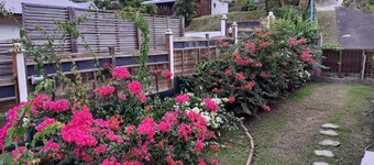 Bougainville Beauvallon