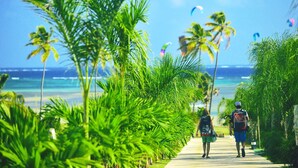 A pathway lined with palm trees leading to a beach with a clear view of the ocean and a person walking with a backpack. - Farniente in Martinique (Le Vauclin)