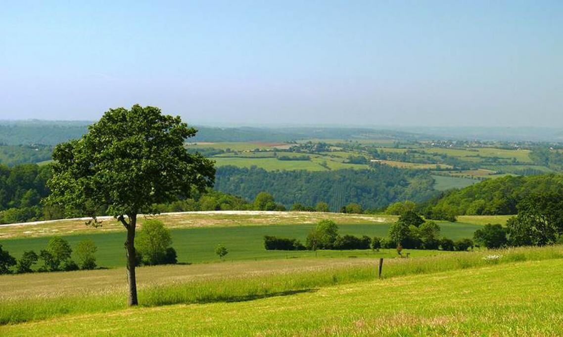 A rural landscape with rolling hills, a prominent tree in the foreground, and a distant view of a valley with scattered buildings.