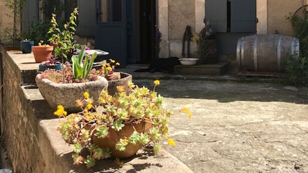 A building with a stone facade, blue shutters, and a tiled roof. There are potted plants and a barrel on the ground. - The press house (minerve)