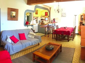 TV, DVD player, video library - The press house (minerve)