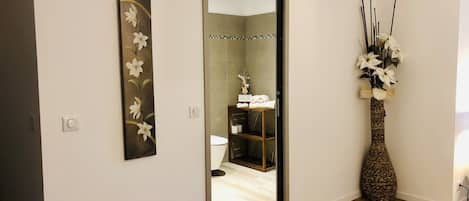 Shower, hair dryer, towels, soap