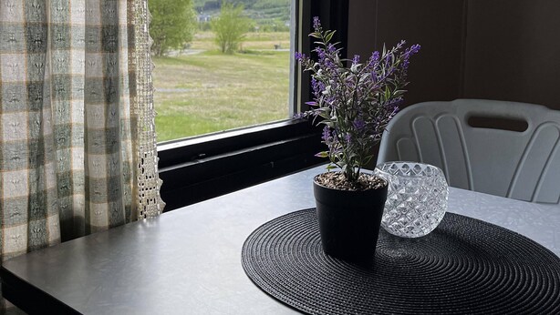 A window with a view of a green landscape and mountains, a potted plant on a table, and a chair. - Basecamp Birtavarre (Kåfjord)