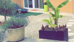A residential building with a patio area, potted plants, and a sliding glass door. - Jacques' workshop (Villy)
