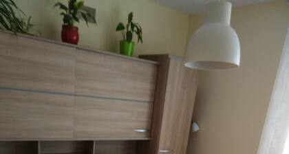 at myla, room to rent
