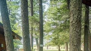A forested path leading to a building with a sign indicating a picnic area. - Tamarack Cabin at Columbia Mountain Ranch (Columbia Falls)