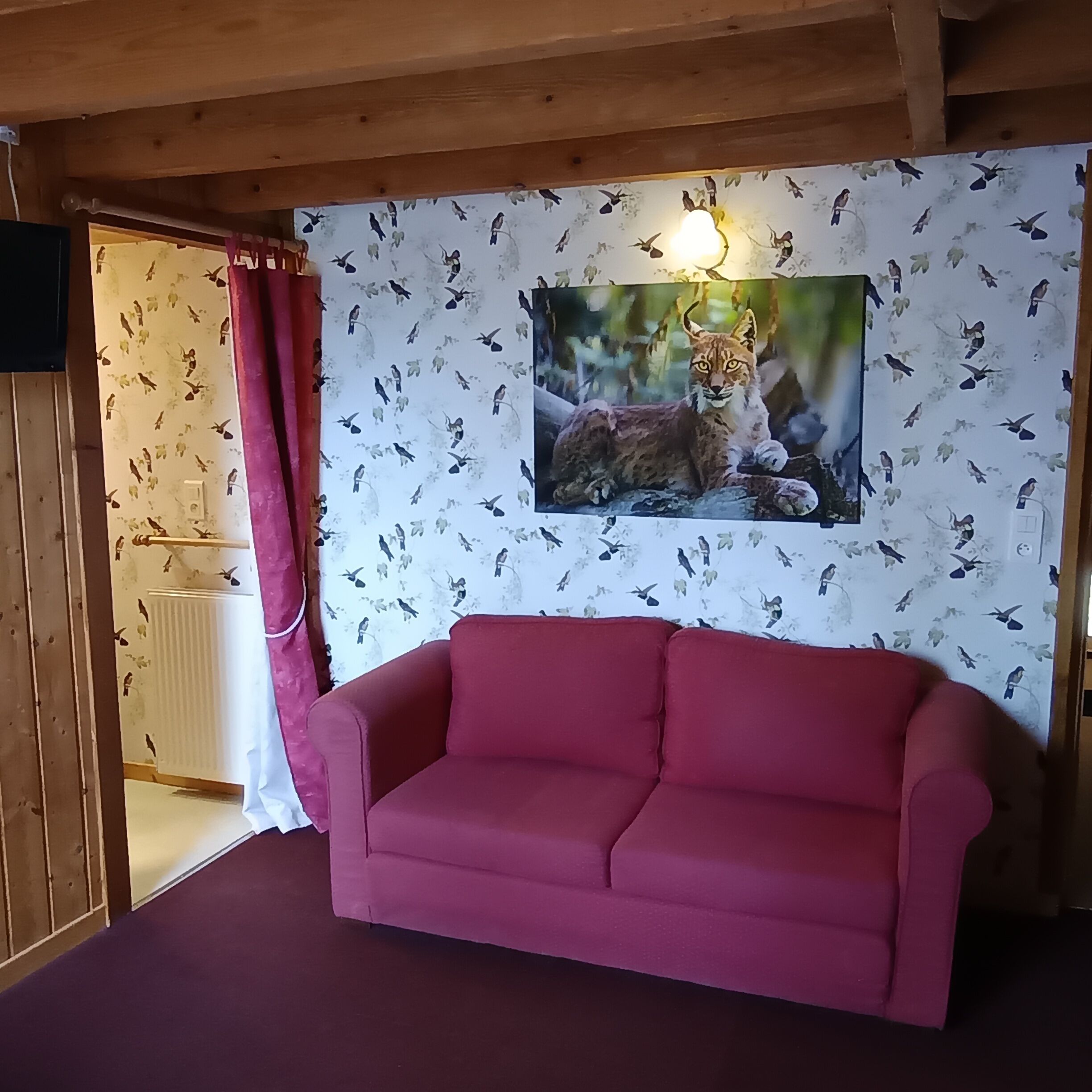 Televisión, chimenea, libros y oficina 