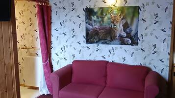 Televisión, chimenea, libros y oficina