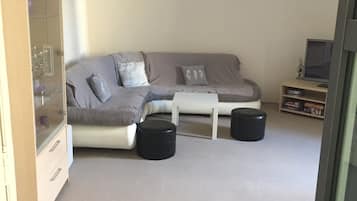 Télévision, livres