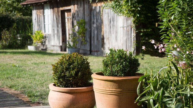 Edifici de fusta rústic amb teulada de teules, envoltat per gespa cuidada i plantes en testos.