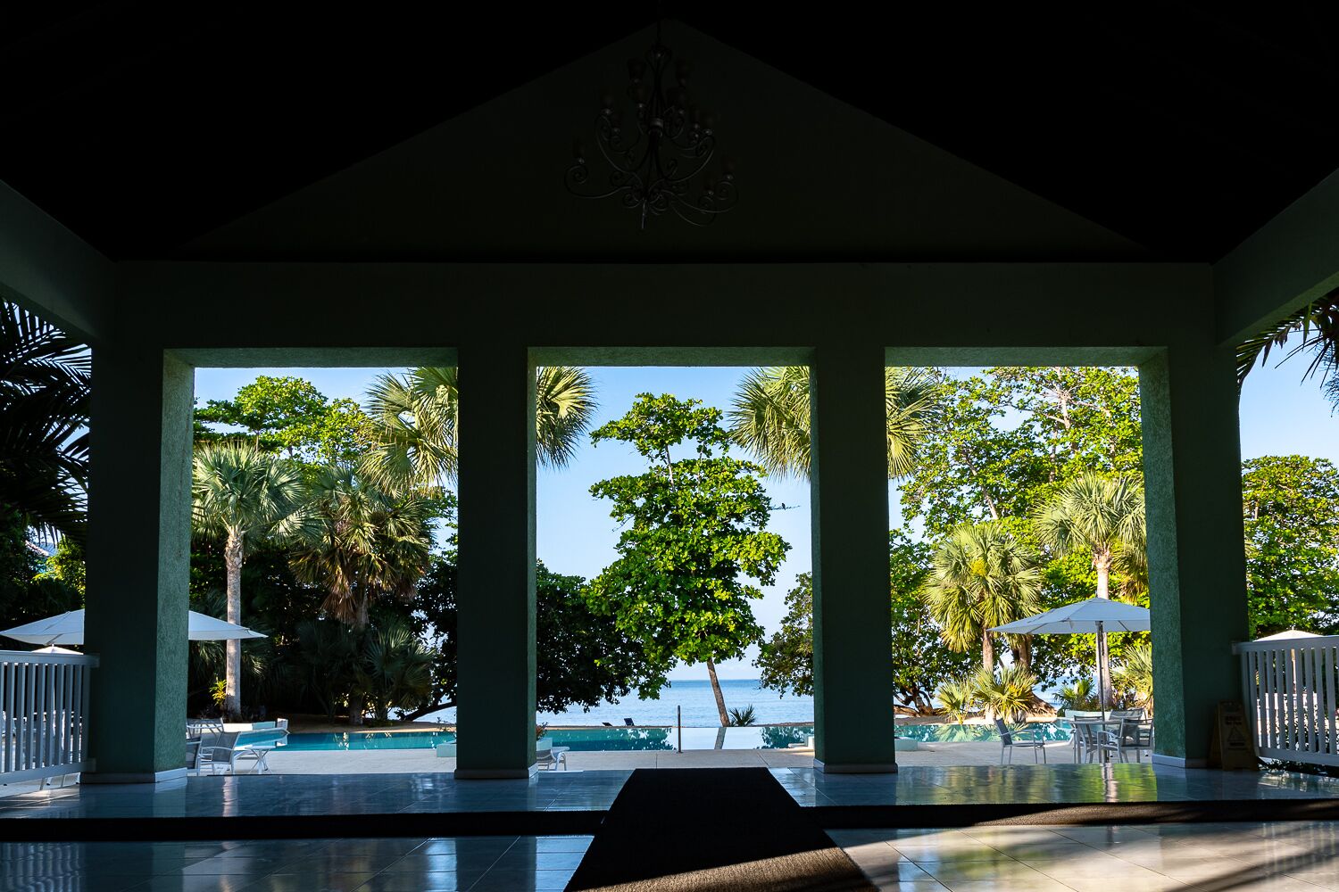 Un espacio al aire libre cubierto con piscina, palmeras y vistas al mar.