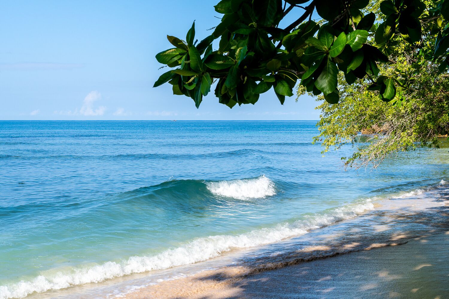 Plage, chaises longues, serviettes de plage