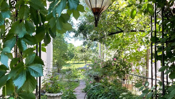 A garden pathway with a wrought iron gate and a hanging lantern.