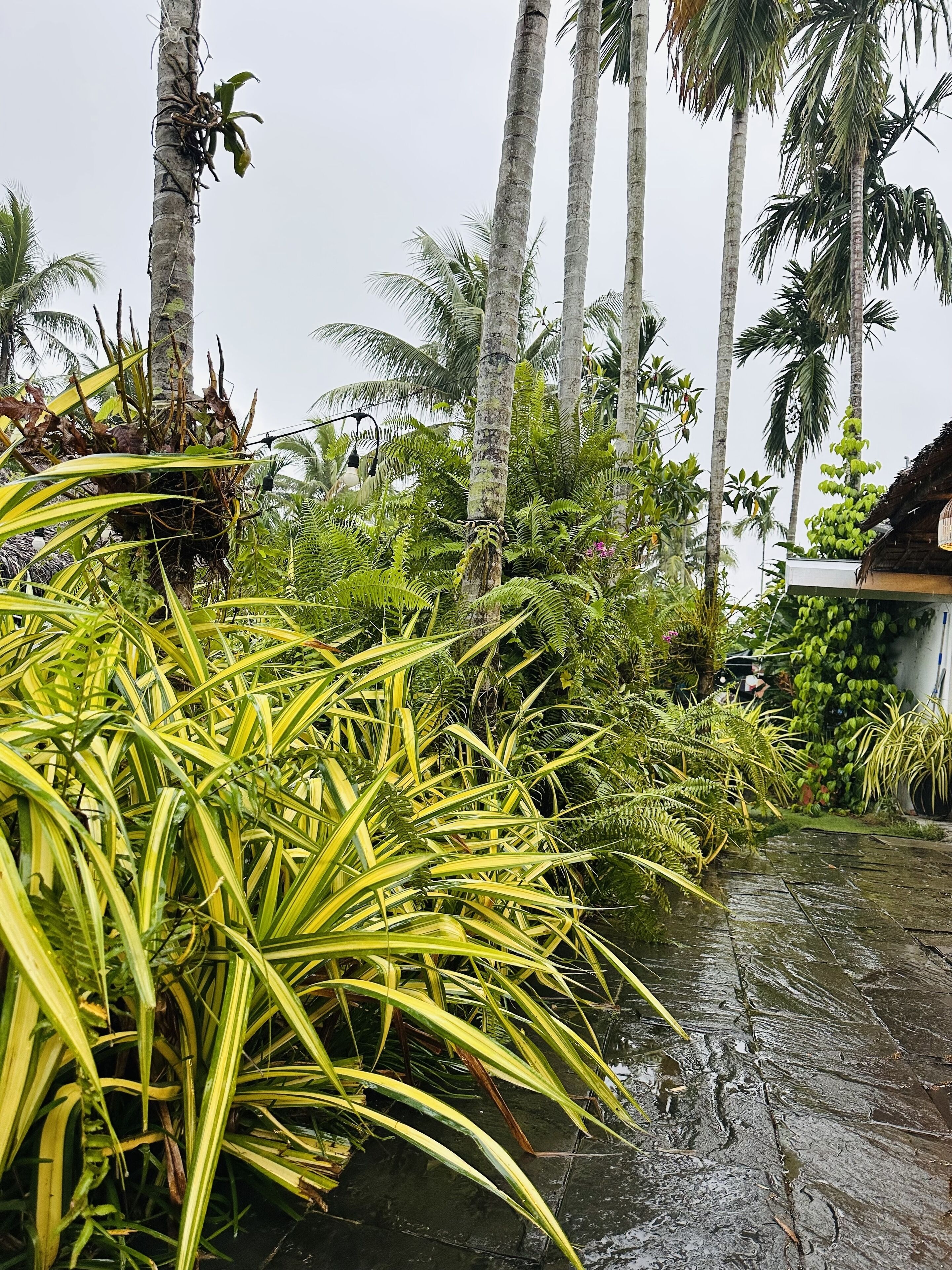 Àrea exterior de l'allotjament