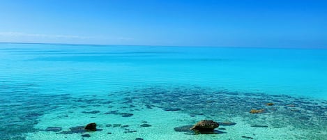 ビーチの近く、サンラウンジャー、ビーチタオル