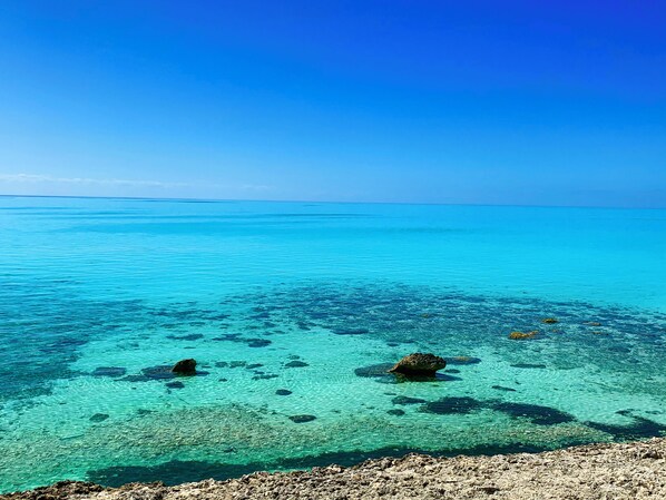 Playa en los alrededores, camastros y toallas de playa 